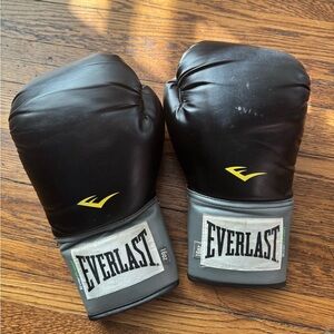Everlast Pro Style Mesh Bag Sparring Training Boxing Gloves Black Size 16 Ounce